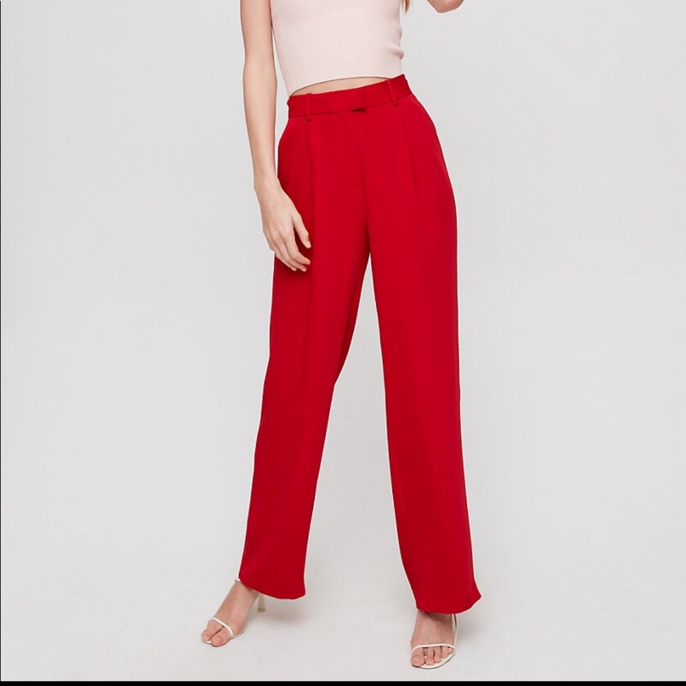 Aritzia Pants
